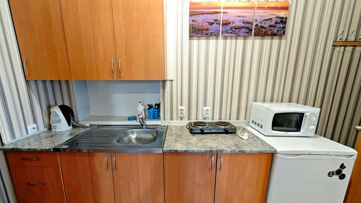 Кухня оборудована посудой и техникой