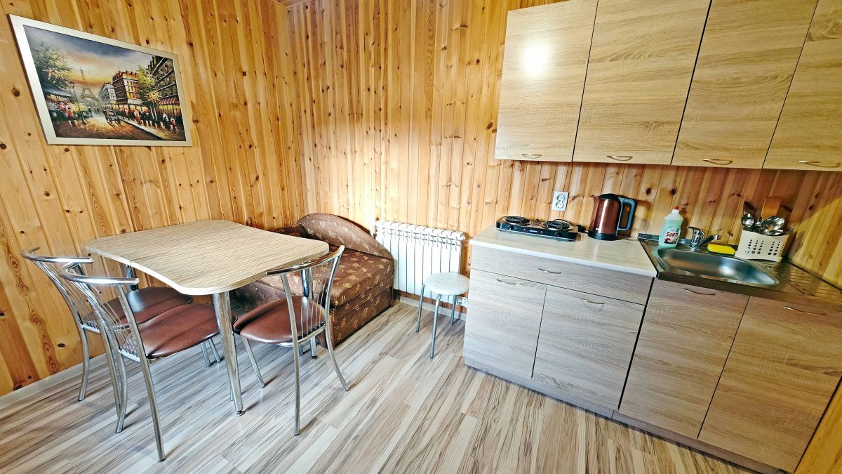 Сиреневые апартаменты. Кухня-гостиная оборудована посудой и техникой. Отличный интернет